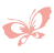 蝶々のイラスト　butterfly icon