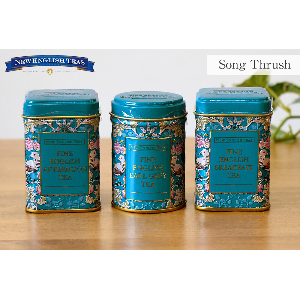 ギフト缶 紅茶 ソングトラッシュ 茶葉 3缶入り ニューイングリッシュティー